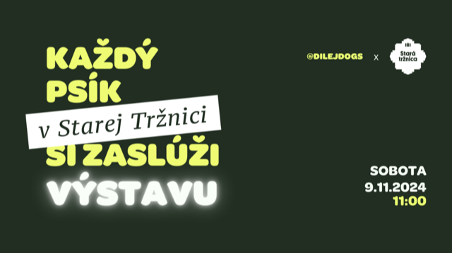 Výstava portrétov z Fotenia psíkov od Adama Dilej  @DILEJDOGS