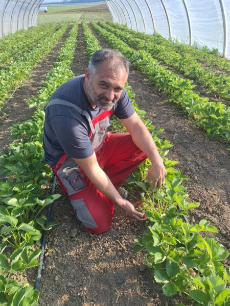Farma Dolezsa
